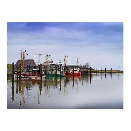 Starfish Butjadingen