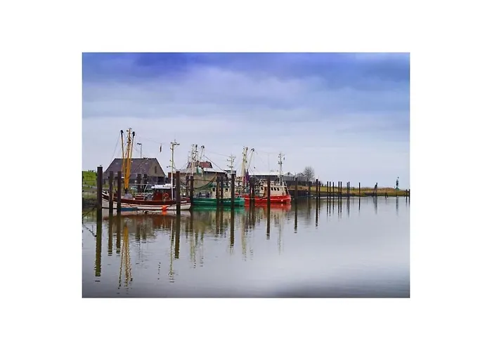 Starfish Butjadingen