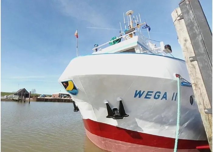 Starfish Appartement *