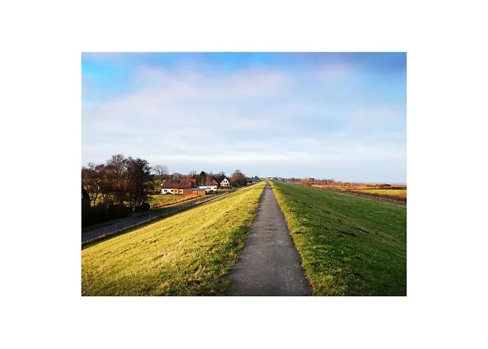 Starfish Butjadingen